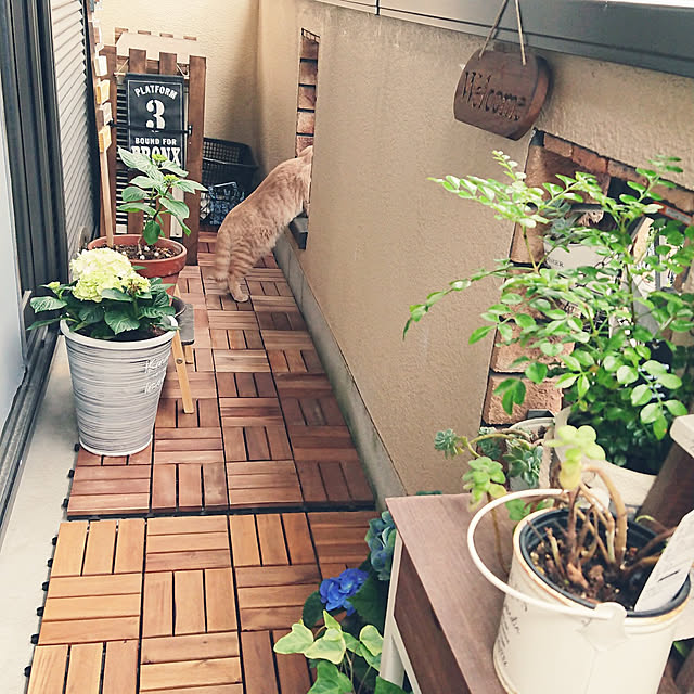 noritamaさんの実例写真