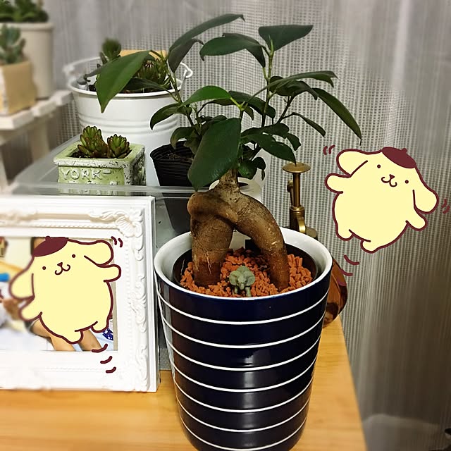 noooochu33さんの実例写真
