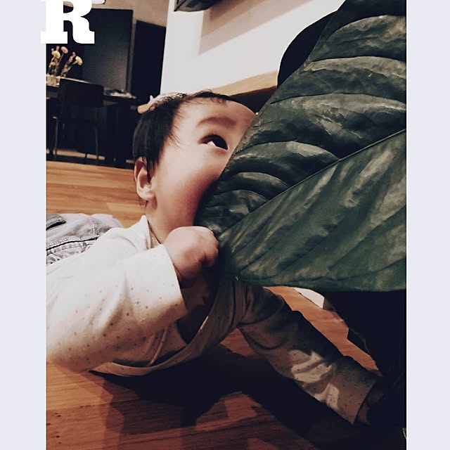 raujikaさんの実例写真