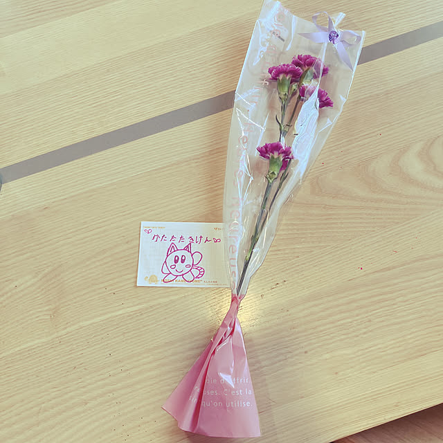 母の日のお花/母の日のカーネーション/母の日/わたしの休日のすごし方/男の子と暮らす。...などのインテリア実例 - 2025-05-12 17:55:25