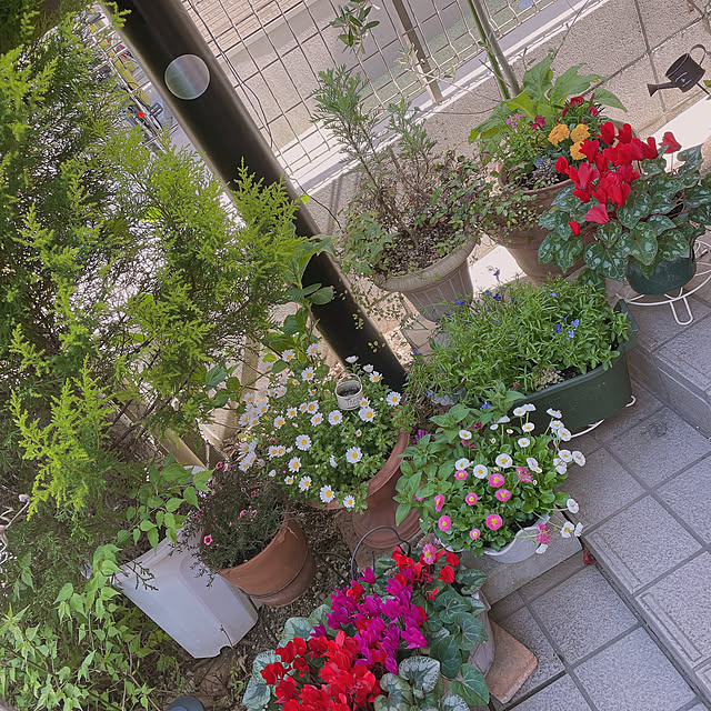 mocoさんの部屋