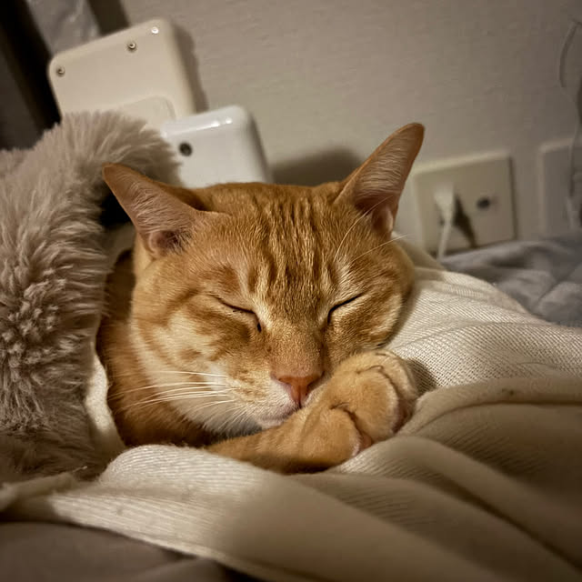 chiiさんのお部屋の写真