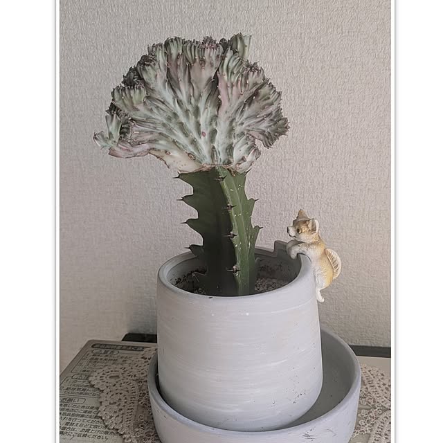 monnさんの実例写真