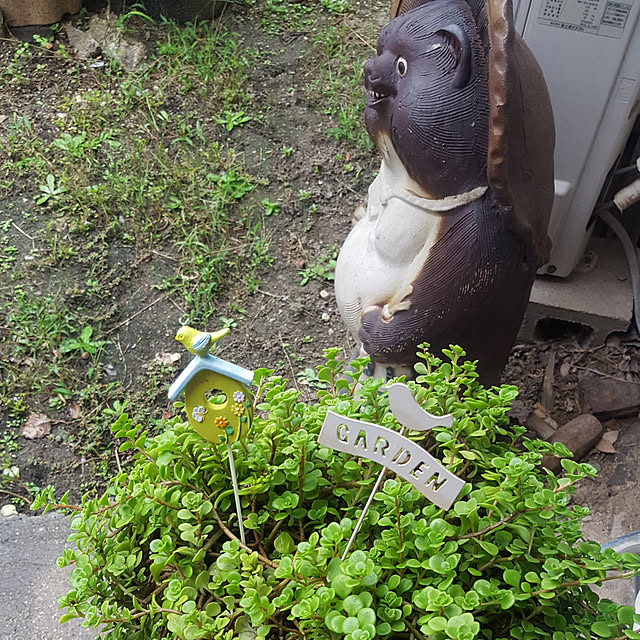 baabaさんの実例写真