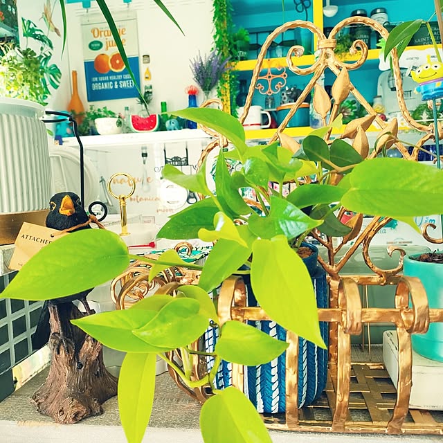 nacchanさんの部屋