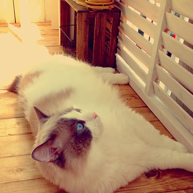 runtenさんの実例写真