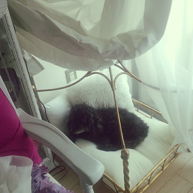 junhimeさんの実例写真