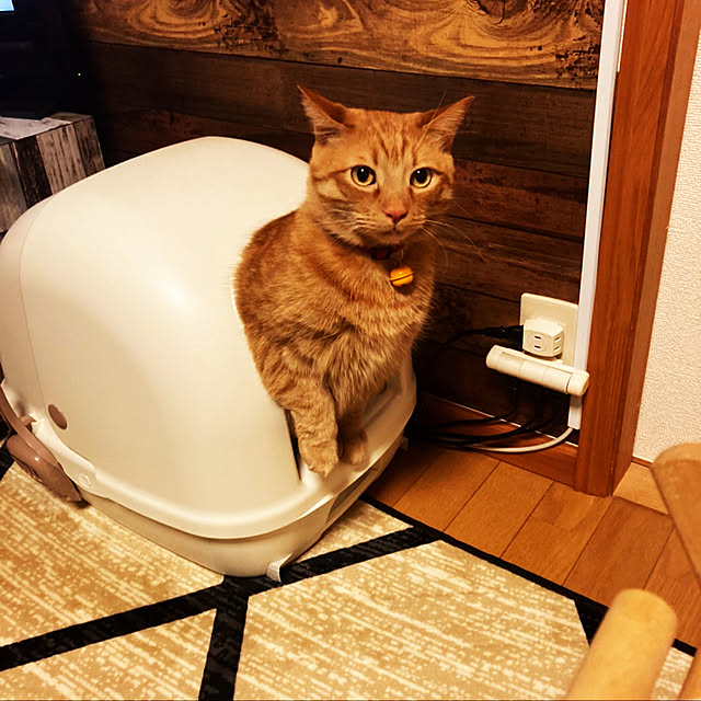 okeychikunさんの実例写真