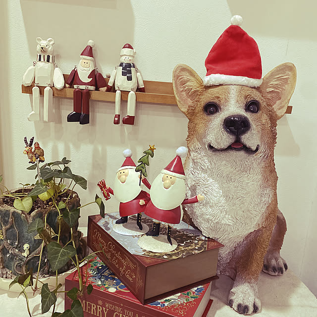 sars1129さんの実例写真