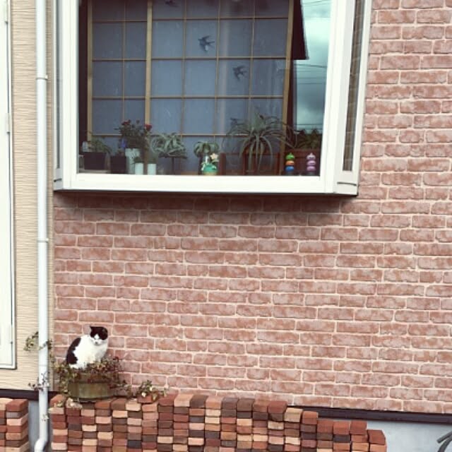k.namiさんの実例写真