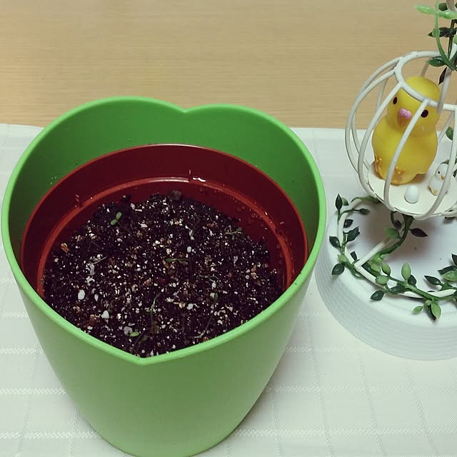 aquaさんの実例写真