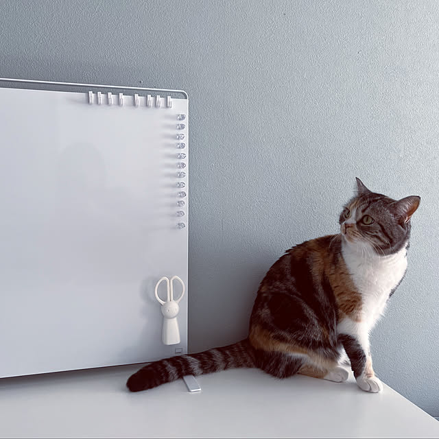 mouseさんの部屋