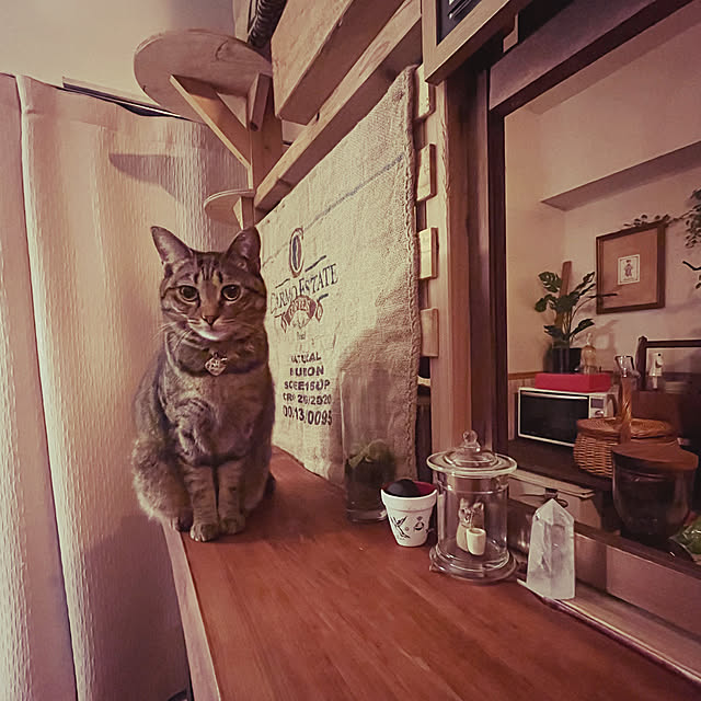Mさんの実例写真