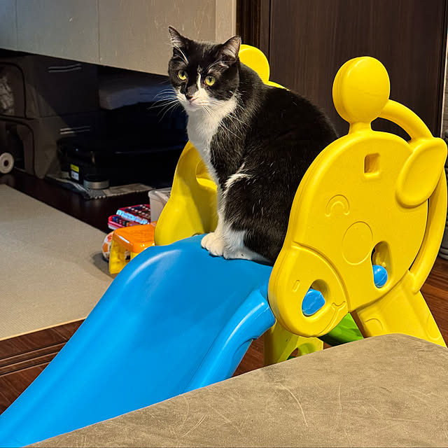 porinさんの部屋