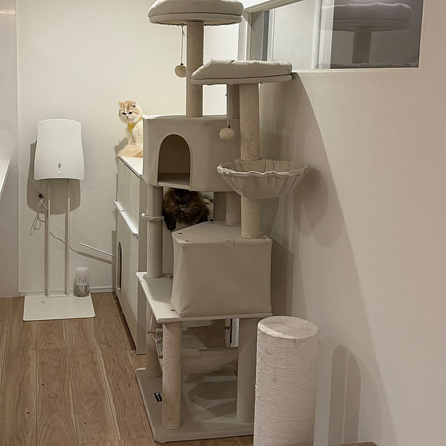 _____mhomeさんの実例写真