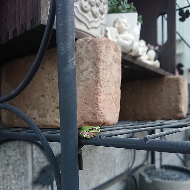 mimiさんの実例写真
