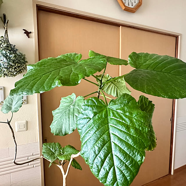 mizucchiさんの部屋