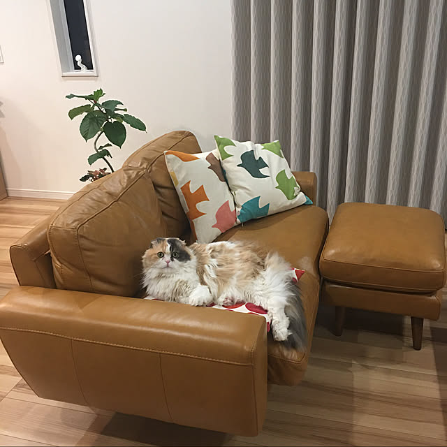 Kaorinさんの実例写真