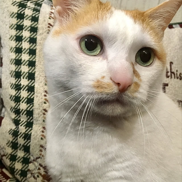 tututu0204さんの部屋