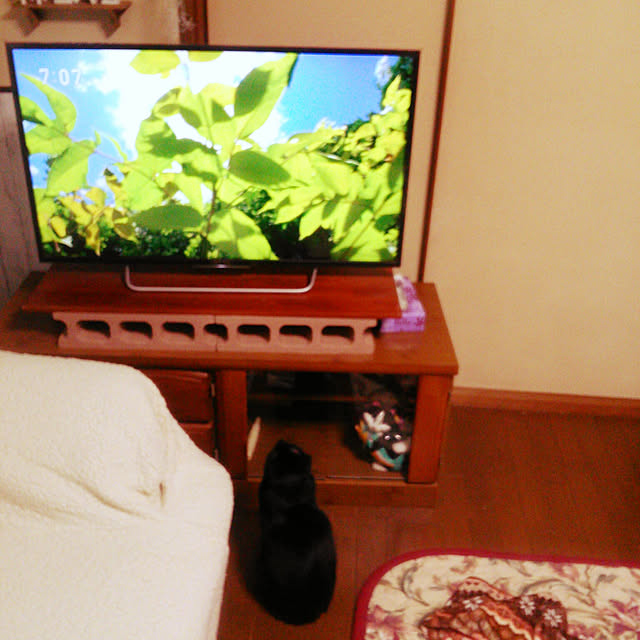 Tomopさんの実例写真