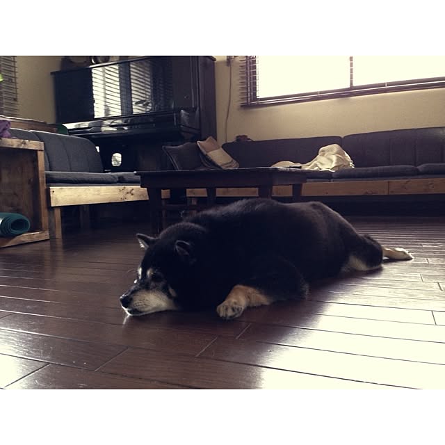 jnkaiさんの実例写真