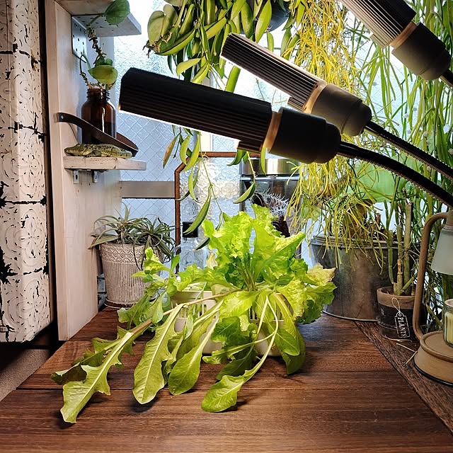 yuuu7712さんの実例写真