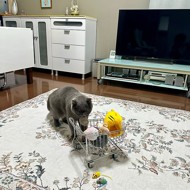 kittyさんの部屋