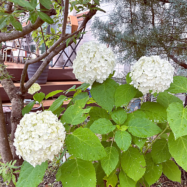 ayayayayaさんの部屋