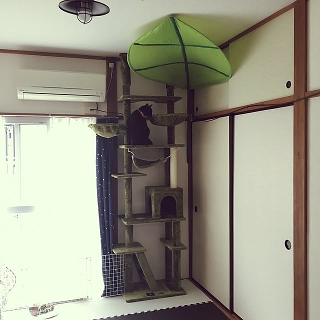 ichikuromamさんの実例写真