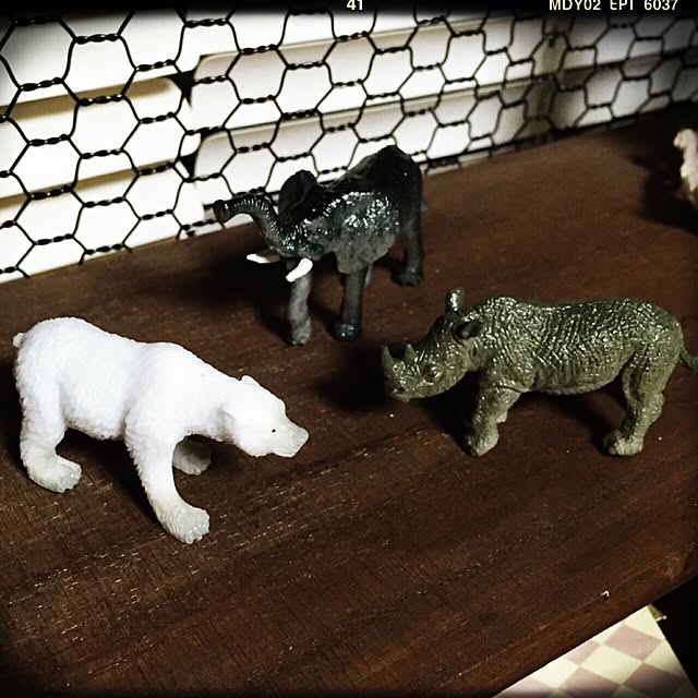 yukoyukoさんの実例写真