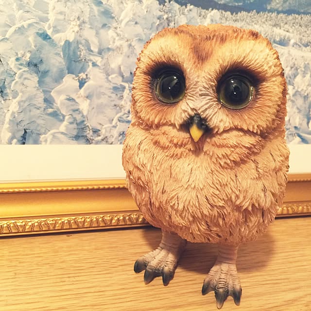 satoさんの実例写真