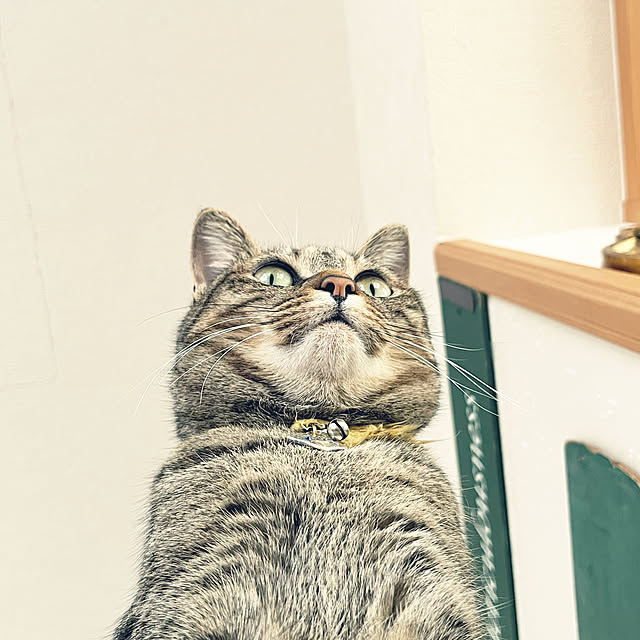 Mさんの実例写真
