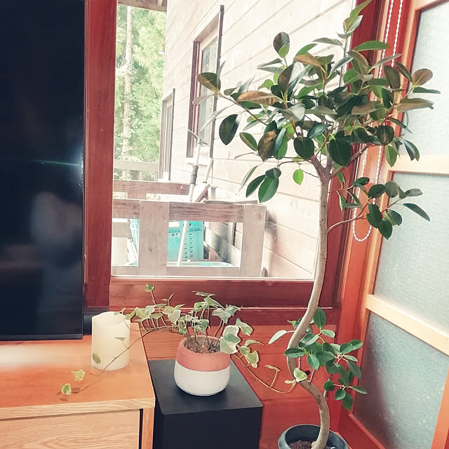 kinoさんの実例写真