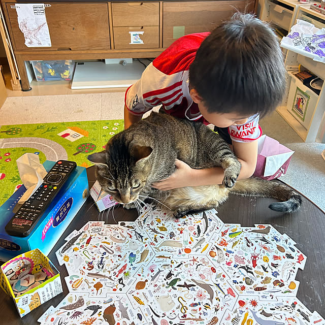 mikomaruさんの部屋