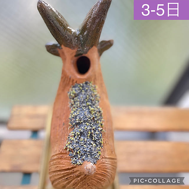 aureaさんの実例写真