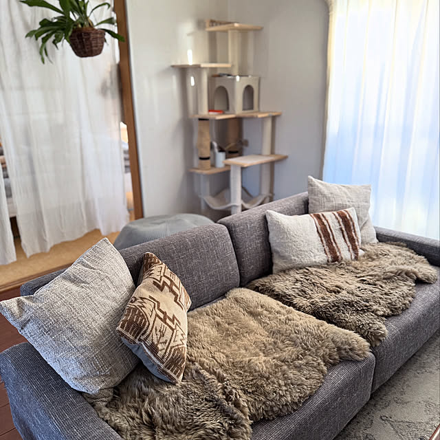 chulashihoさんの実例写真