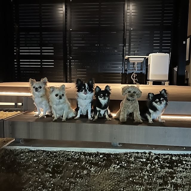 sankyoalumi_exさんの実例写真