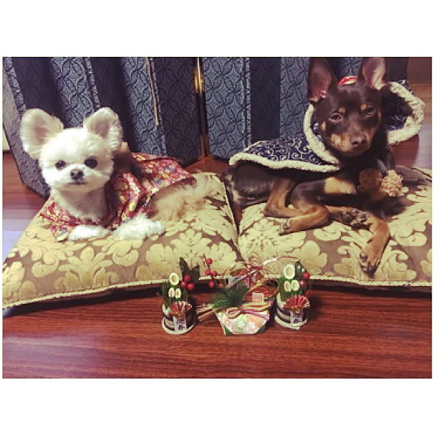 Megumiさんの実例写真