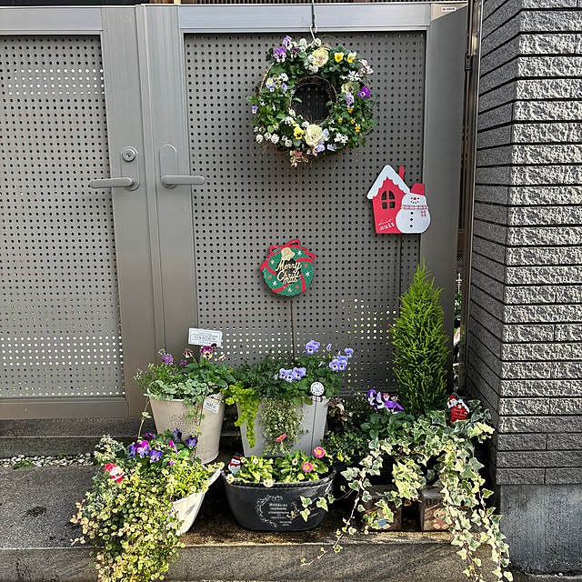 maayaさんの部屋