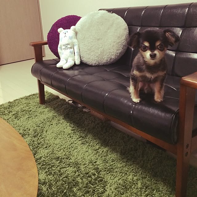 Kanaさんの実例写真