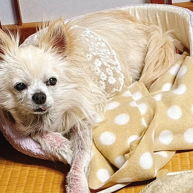 minnieさんの部屋