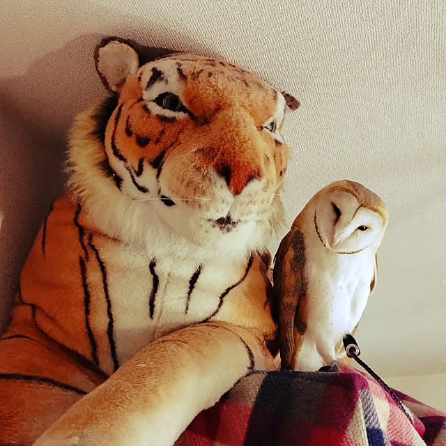 mikiさんの実例写真