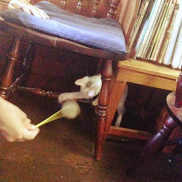 purr_purrさんの実例写真