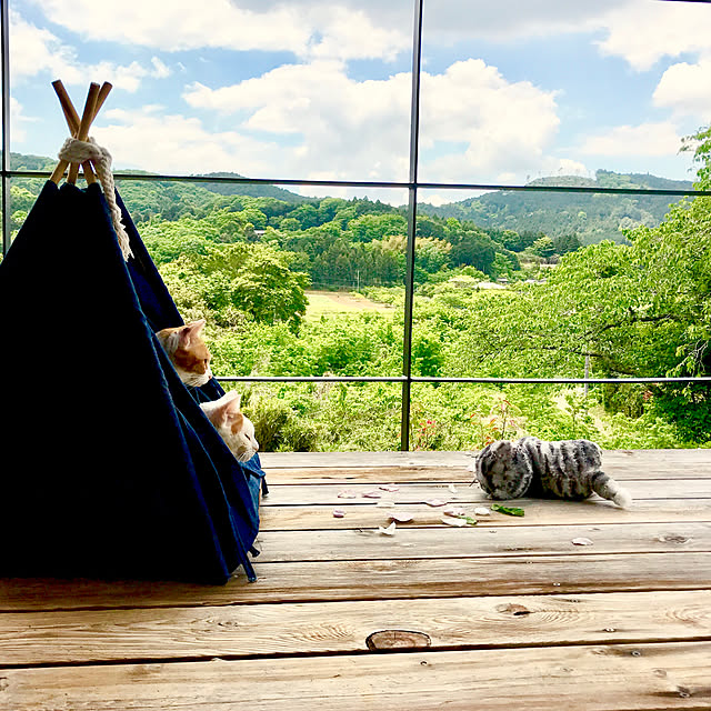 sakurasakuさんの実例写真