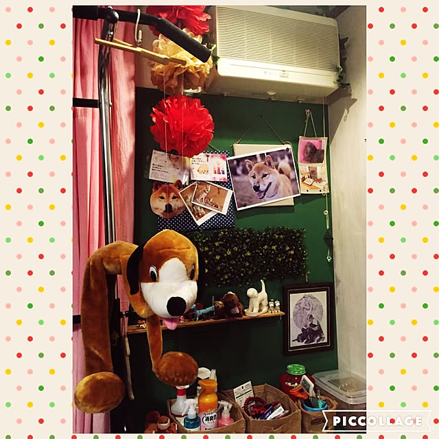 shibaさんの実例写真