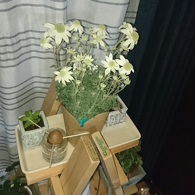 porinさんの実例写真
