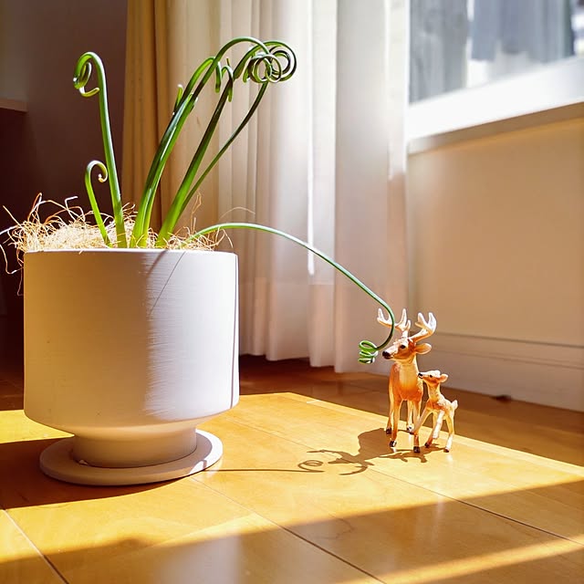 Haさんの実例写真