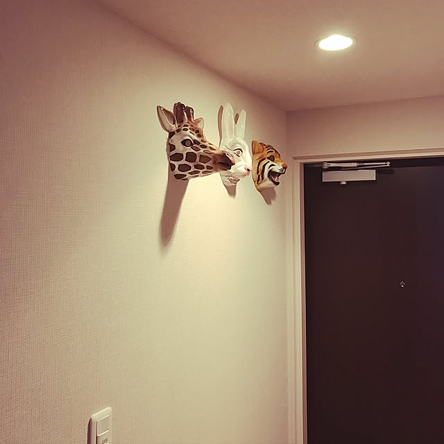 merissaさんの実例写真