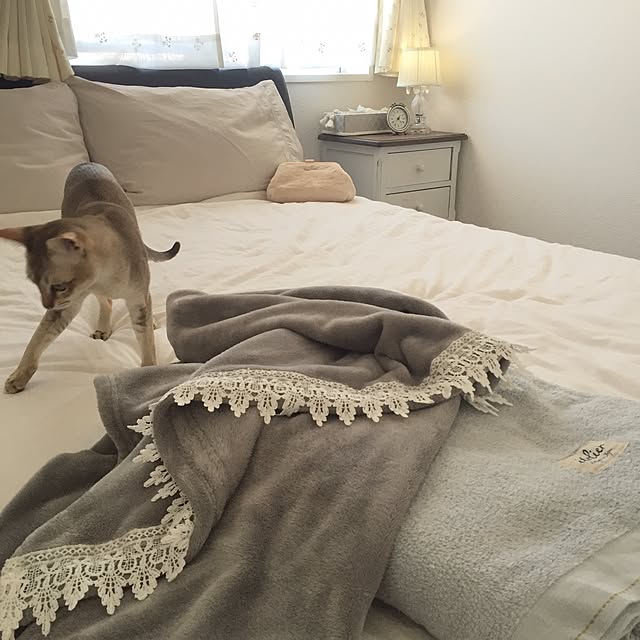 a-mkさんの実例写真