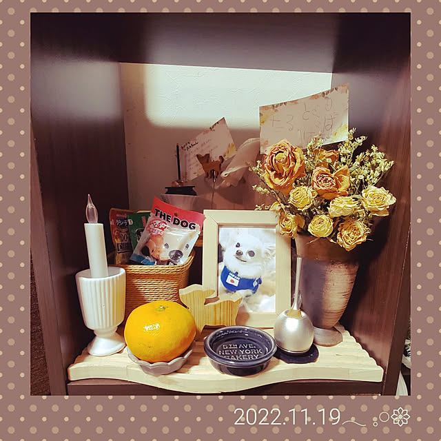 soraさんの実例写真